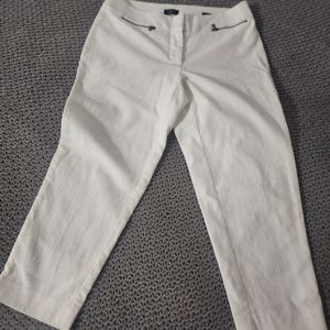 Ann Taylor loft petite